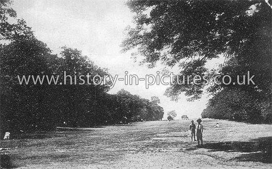 The Glade, Wanstead Park, Wanstead, London. c.1920's
